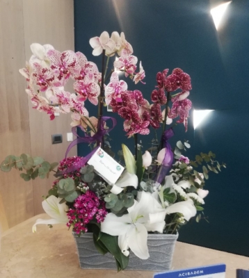 Dört dallı Renkli orkide Arajmanı 